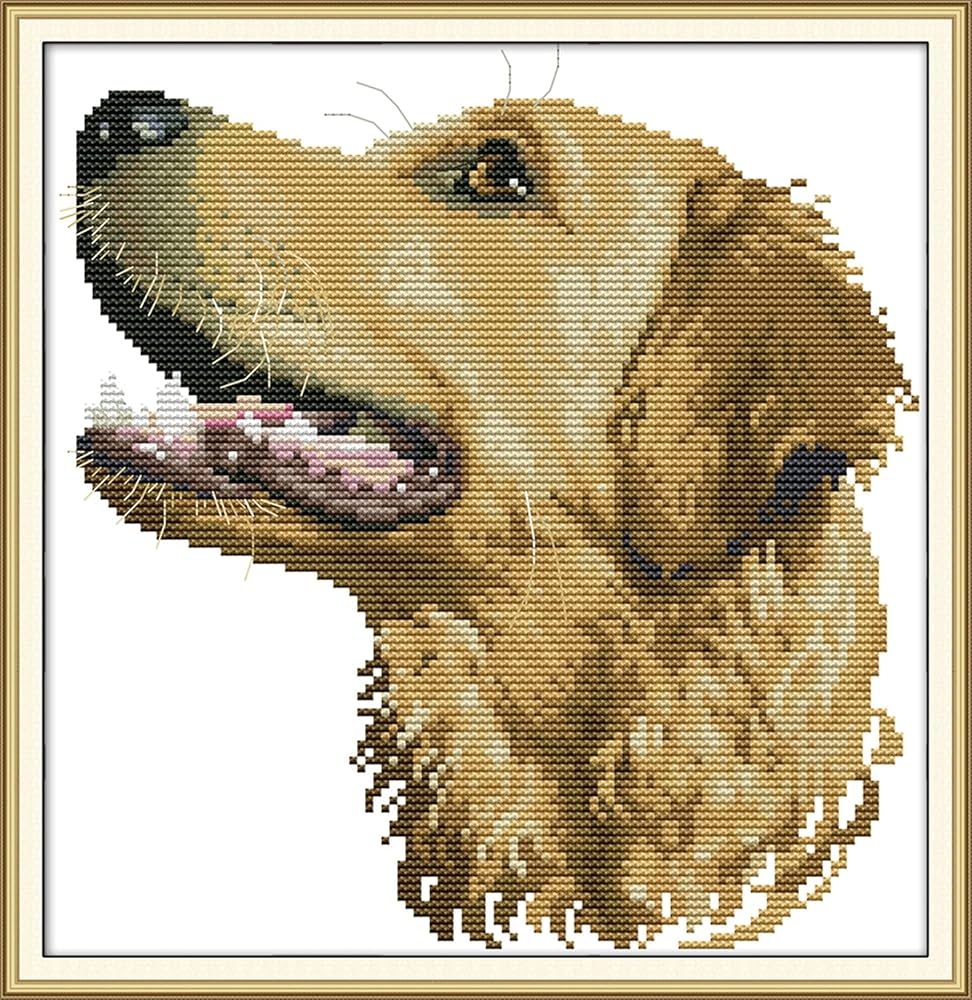 Amazon | Amiiba クロスステッチ刺繍キット図案印刷済み 11ct